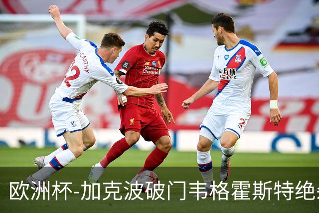 欧洲杯-加克波破门韦格霍斯特绝杀 荷兰2-1波兰