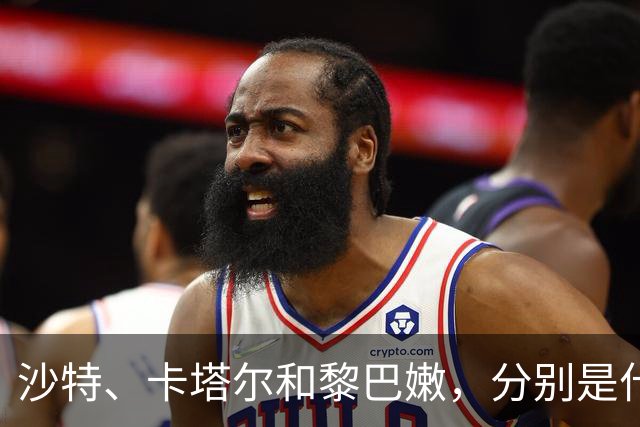 沙特、卡塔尔和黎巴嫩，分别是什么水平？