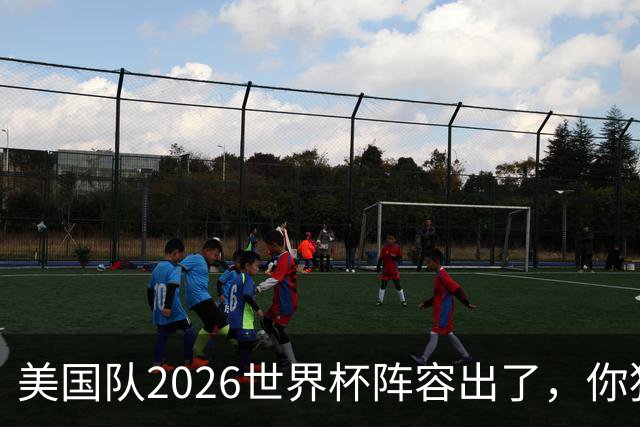美国队2026世界杯阵容出了，你猜对几个？