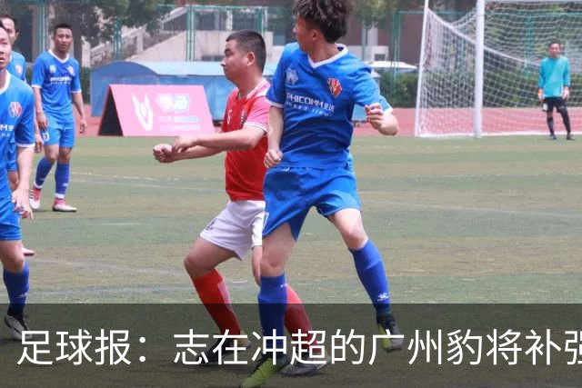 足球报：志在冲超的广州豹将补强锋线，正与目标外援前锋洽谈